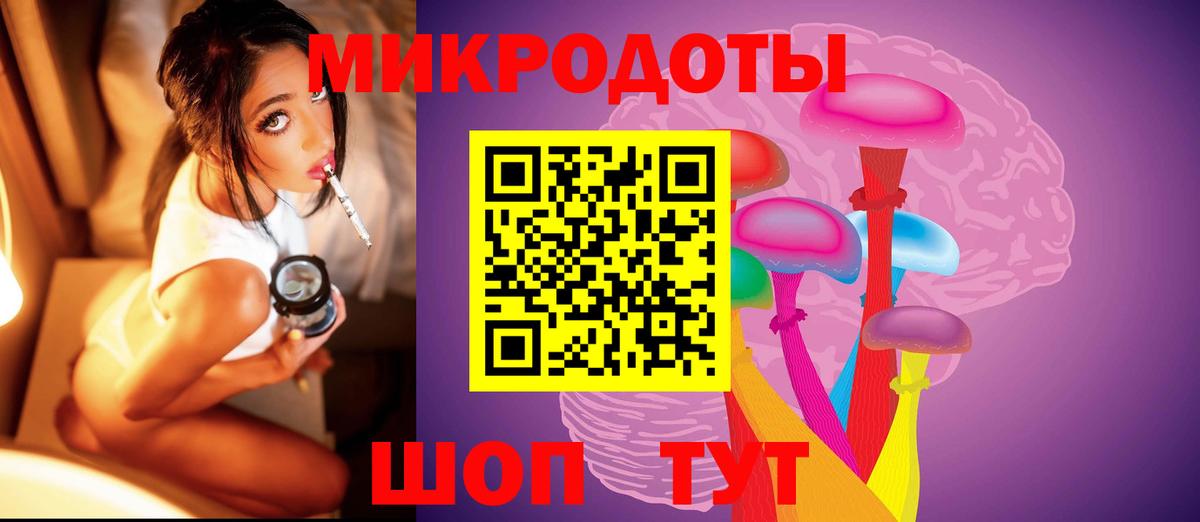Псилоцибиновые грибы Psilocybe Сергиев Посад