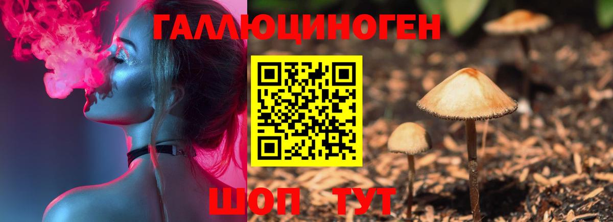 Галлюциногенные грибы Cubensis  Вход с VPN  Сергиев Посад 